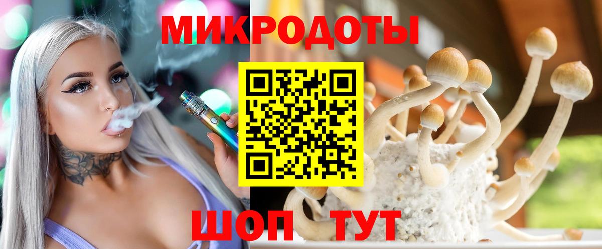 Псилоцибиновые грибы Psilocybine cubensis Отрадное