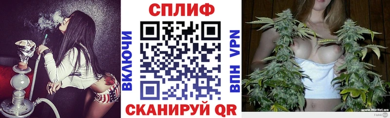 Шишки марихуана THC 21% блэк спрут ссылка Отрадное
